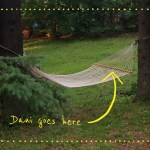 hammock - my happy place